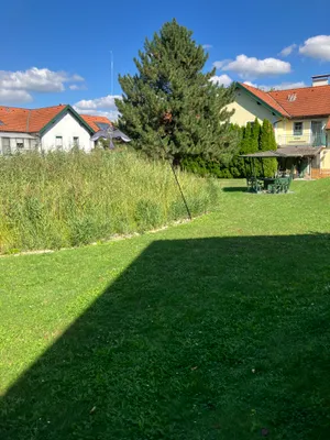2-Zimmer-Wohnung mieten in Melk – 37 m², € 570 – Bild 9 von 14