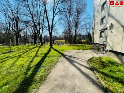 2-Zimmer-Wohnung mieten in Linz – 68,3 m², € 787 – Bild 3 von 4
