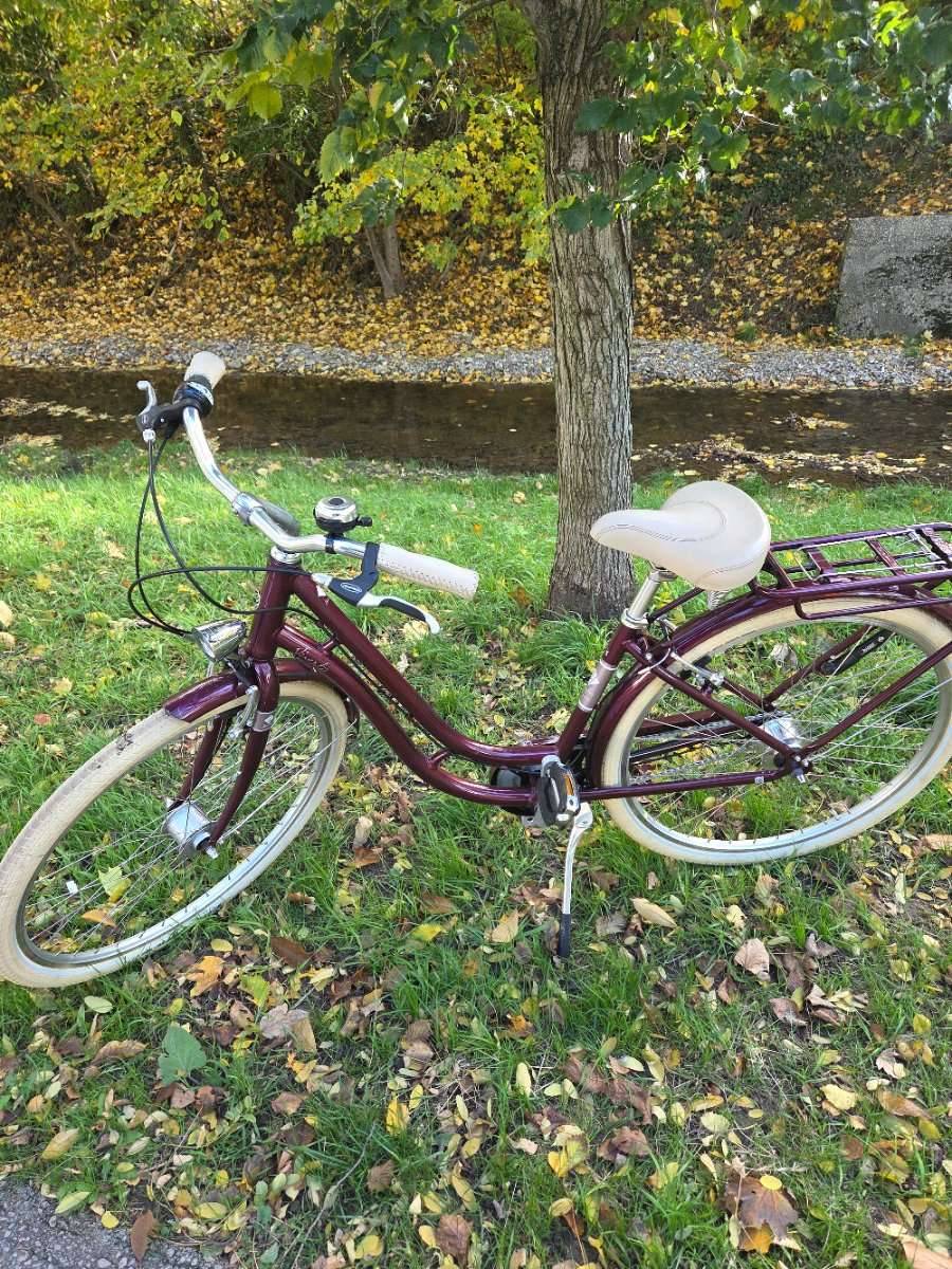 Fahrrad 28 Zoll kaufen - willhaben