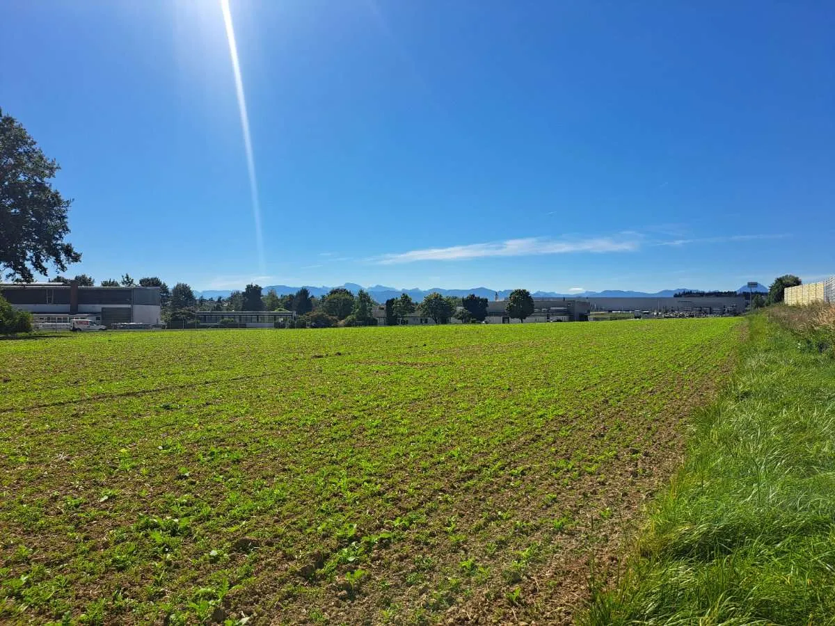 15.500 m² in TOP-LAGE auf Baurechtsbasis zu pachten I Autobahnauffahrt A1/ A9 1,5 km entfernt - Ansicht 3