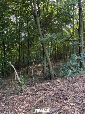 Immobilie kaufen in Graz – 41 598 m², € 95.000