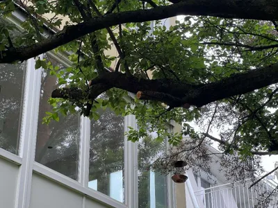 3-Zimmer-Wohnung kaufen in Wien – 85 m², € 569.000 – Bild 24 von 27
