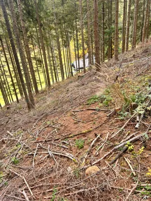 Immobilie kaufen in Murtal – 35 970 m² – Bild 9 von 10