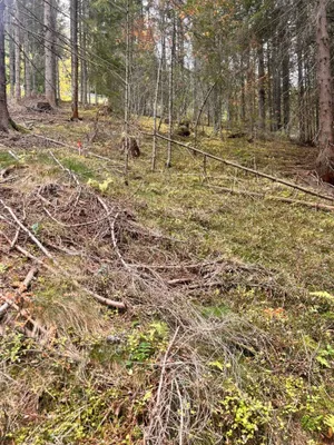 Immobilie kaufen in Murtal – 35 970 m² – Bild 5 von 10