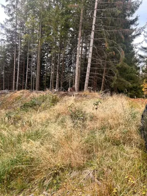 Immobilie kaufen in Murtal – 35 970 m² – Bild 4 von 10