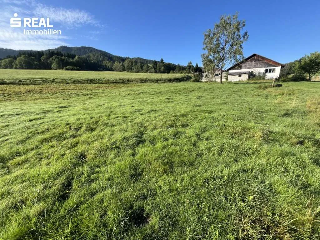 Tolle Gewerbefläche mit Rohbau gleich nebenan dem Skigebiet Grebenzen - Ansicht 3