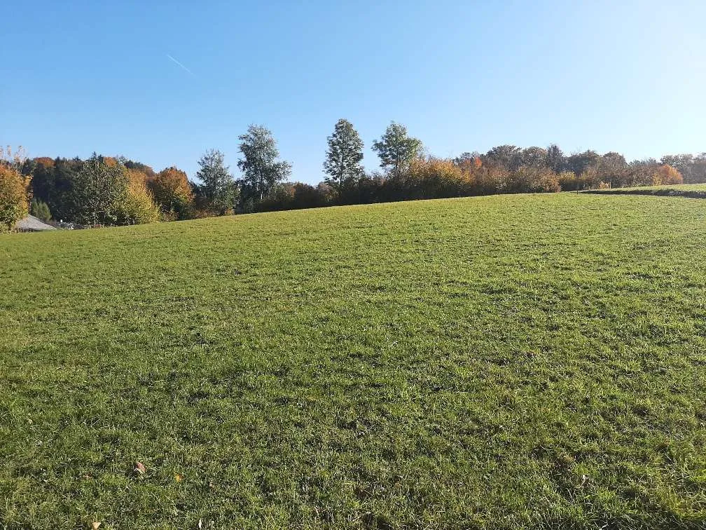 BAUGRUND, sehr sonnige Lage, Aufgeschlossen, sofortiger Baubeginn möglich - Vista 3