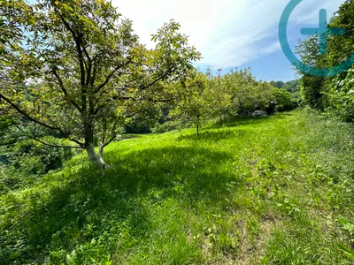 Grundstück kaufen in Wien – 2 474 m², € 849.000 – Bild 5 von 8