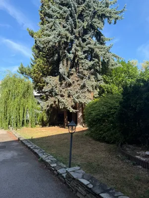 3-Zimmer-Wohnung mieten in Wiener Neustadt – 58 m², € 699 – Bild 9 von 10