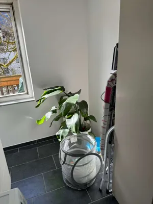 3-Zimmer-Wohnung kaufen in Salzburg-Umgebung – 77 m², € 390.000 – Bild 8 von 12