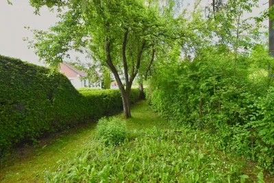 Haus kaufen in Vöcklabruck – 200 m², € 199.000 – Bild 23 von 25