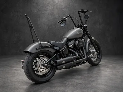Harley-Davidson Softail Street Bob FXBB