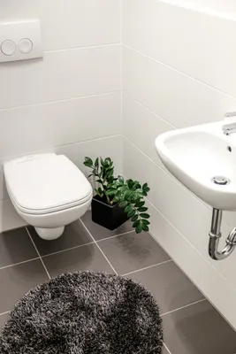 2-Zimmer-Wohnung mieten in Graz – 44 m², € 651 – Bild 3 von 6