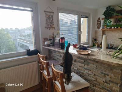 Wohnung – Bild 3