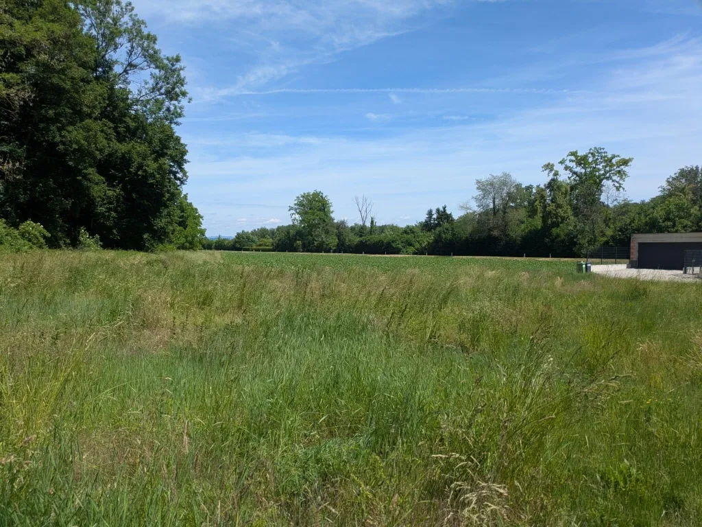 Baugrund in Enns 1.039 m² - ruhig, naturnah, voll aufgeschlossen, kein Bauzwang - Ansicht 3