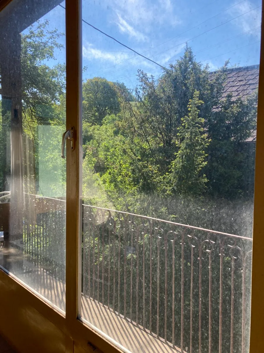 Große sonnige Wohnung im Grünen - Ansicht 3