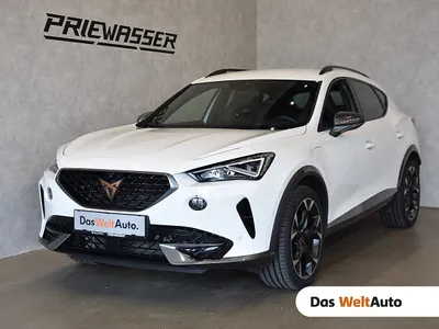 Cupra Formentor VZ e-HYBRID 245 PS DSG