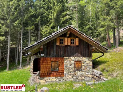 Grundstück kaufen in Spittal an der Drau – 10 000 m² – Bild 6 von 19