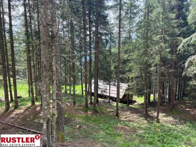 Grundstück kaufen in Spittal an der Drau – 10 000 m² – Bild 2 von 19