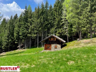 Grundstück kaufen in Spittal an der Drau – 10 000 m² – Bild 4 von 19