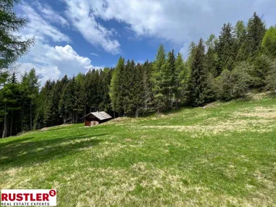 Grundstück kaufen in Spittal an der Drau – 10 000 m² – Bild 3 von 19