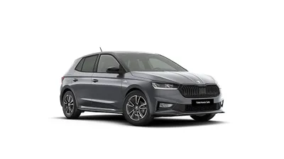 Skoda Fabia Monte Carlo 1,0 TSI DSG