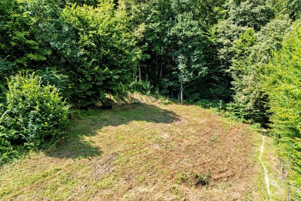 Erhöht gelegenes 911 m² Baugrundstück samt 5.000 m² Eigenwald in Stattegg - Ansicht 3