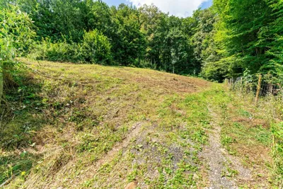 Grundstück kaufen in Graz-Umgebung – 5 911 m², € 276.000 – Bild 8 von 14