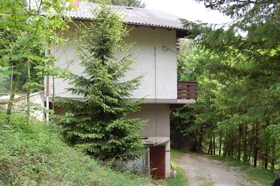 3-Zimmer-Haus mieten in Wiener Neustadt Land – 100 m², € 650 – Bild 9 von 11