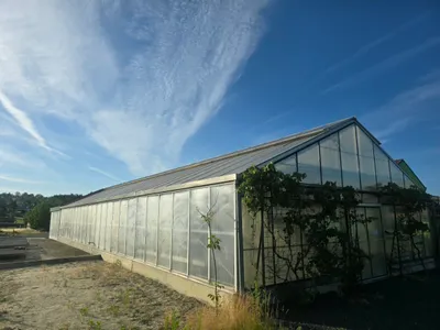 Gewerbeimmobilie mieten in Oberpullendorf – 794 m², € 5.000 – Bild 12 von 19