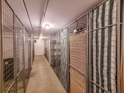 3-Zimmer-Wohnung kaufen in Wien – 74,45 m², € 279.900 – Bild 18 von 31