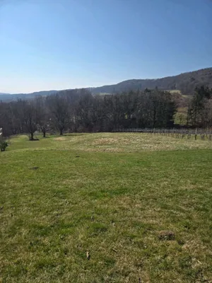 Grundstück kaufen in Südoststeiermark – 4 700 m², € 66.500
