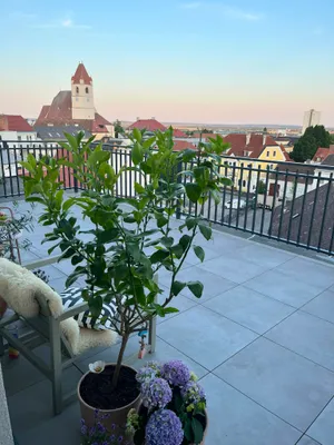 2-Zimmer-Wohnung mieten in Eisenstadt – 50 m², € 970 – Bild 5 von 12