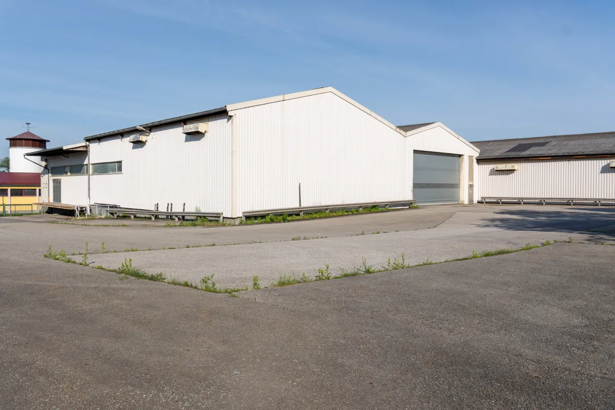 Lagerhalle in Vitis zu vermieten - Ansicht 3