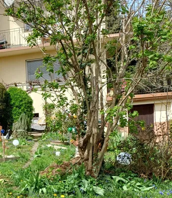 Gewerbeimmobilie kaufen in Graz – 228 m², € 575.000 – Bild 5 von 7