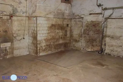 4-Zimmer-Gewerbeimmobilie mieten in Wien – 250 m², € 2.600 – Bild 12 von 16