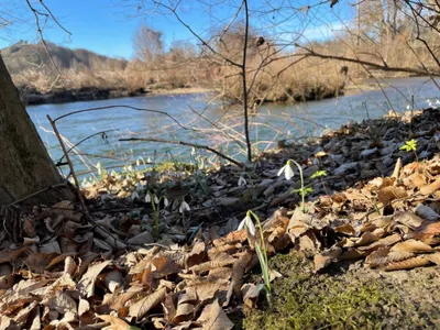 Grundstück kaufen in Leibnitz – 960 m², € 196.800 – Bild 2 von 7