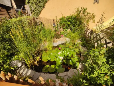 4-Zimmer-Haus mieten in Gänserndorf – 140 m², € 1.800 – Bild 22 von 36