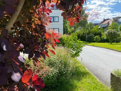 2-Zimmer-Wohnung kaufen in Graz – 54 m², € 249.000