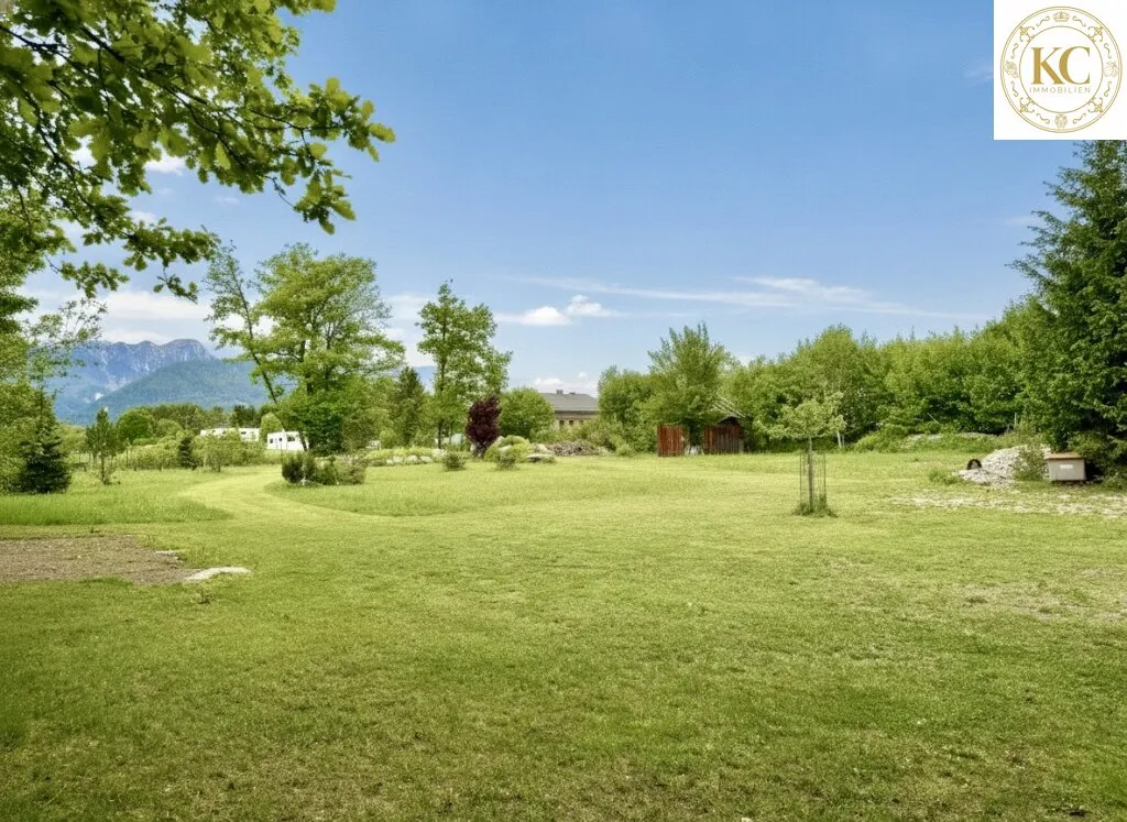 Naturidylle in Wörthersee-Nähe - großzügiges Grundstück mit Schwimmteich-Potenzial - Ansicht 2