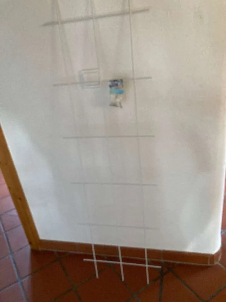 Rankgitter Metall Obi 150 x 45 cm, € 9,- (2630 Pottschach)