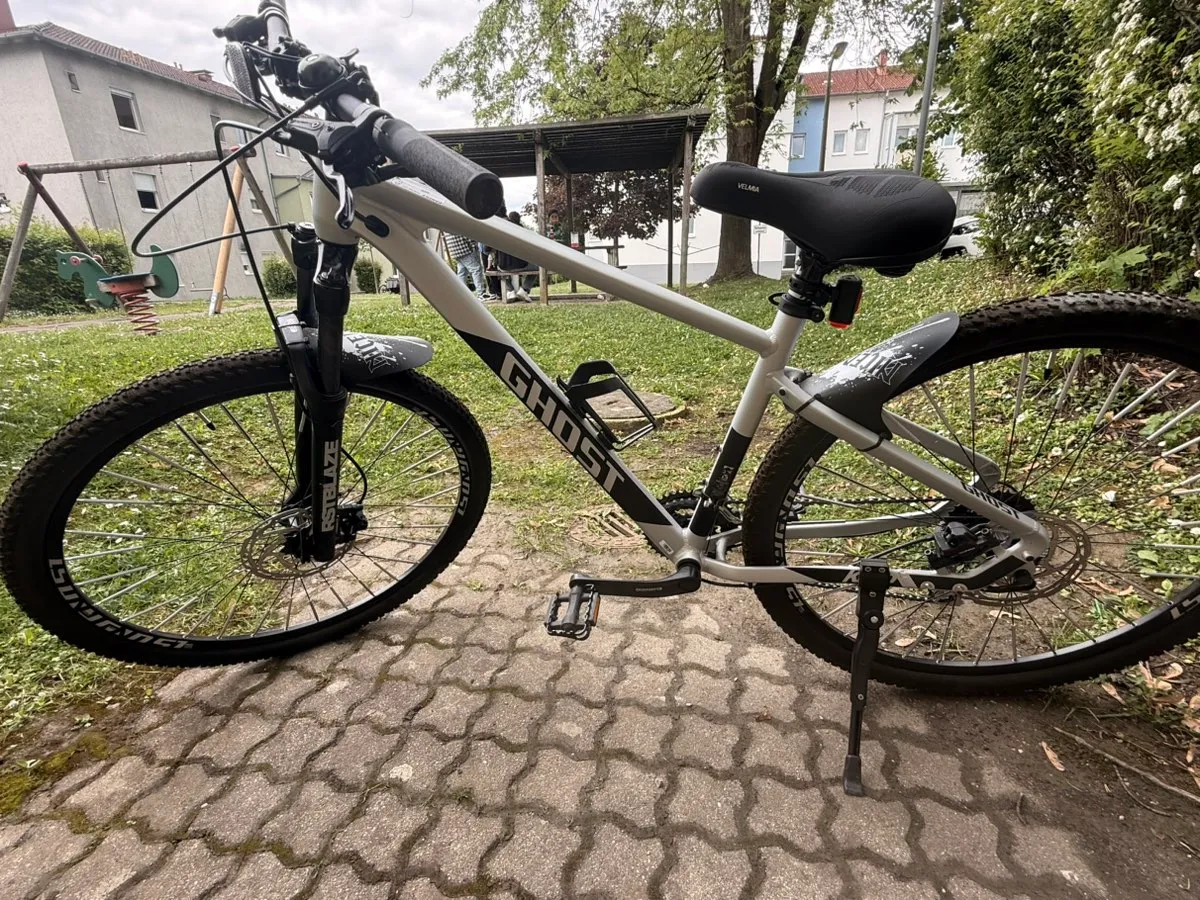 mobiles fahrradwerkzeug STRAUSS Bike Mobile Holder - Adjustable 360° Rotation Bicycle Phone Mount | Anti Shake and Stable Cradle Clamp | Bike Accessories Schutzstreifen für Radfahrer: In or mountain bike rides EV_GG25 Roadies Glasfarbe:SPECTRON HD 3 / Cat. 3