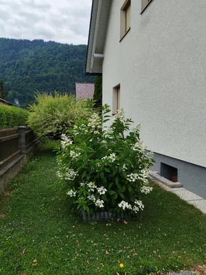 6-Zimmer-Gewerbeimmobilie kaufen in Villach Land – 185 m², € 540.000 – Bild 34 von 37