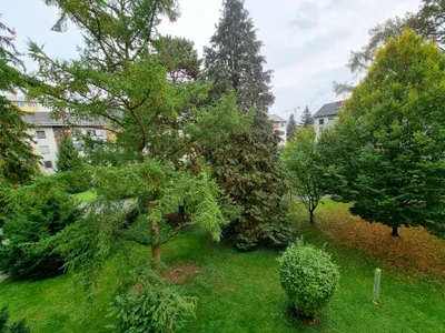 2-Zimmer-Wohnung mieten in Graz – 62 m², € 830 – Bild 7 von 11