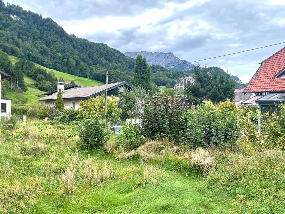 Gelegenheit: Grundstück bei Hallein - Ansicht 2