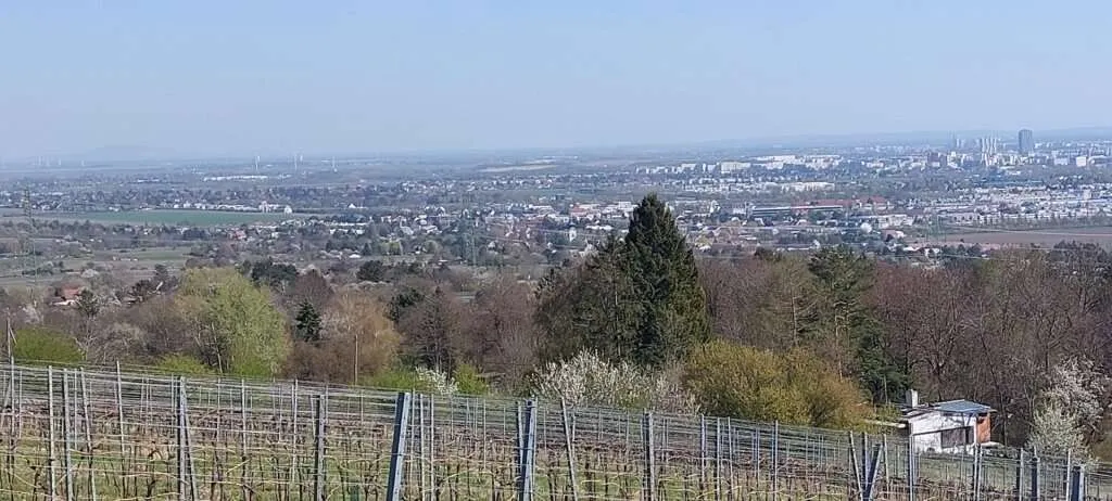 "Almhütte" in Stammersdorf auf großem Grundstück. KEIN BAULAND - Widok 2