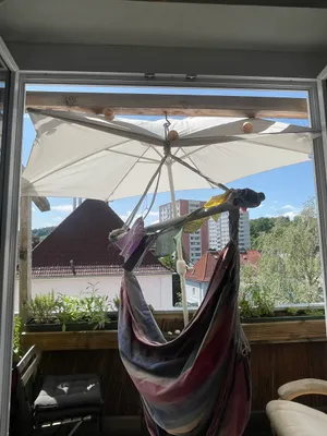 Wohnung zur Miete in 4040 Linz
