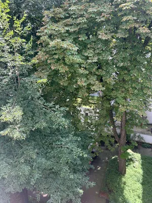 3-Zimmer-Wohnung kaufen in Wien – 86 m², € 495.000 – Bild 10 von 18