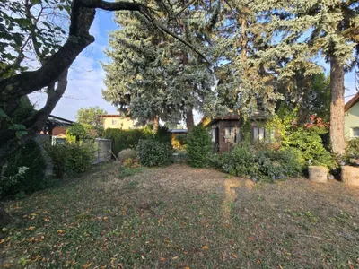 Haus kaufen in Wien – 419 m² – Bild 3 von 9
