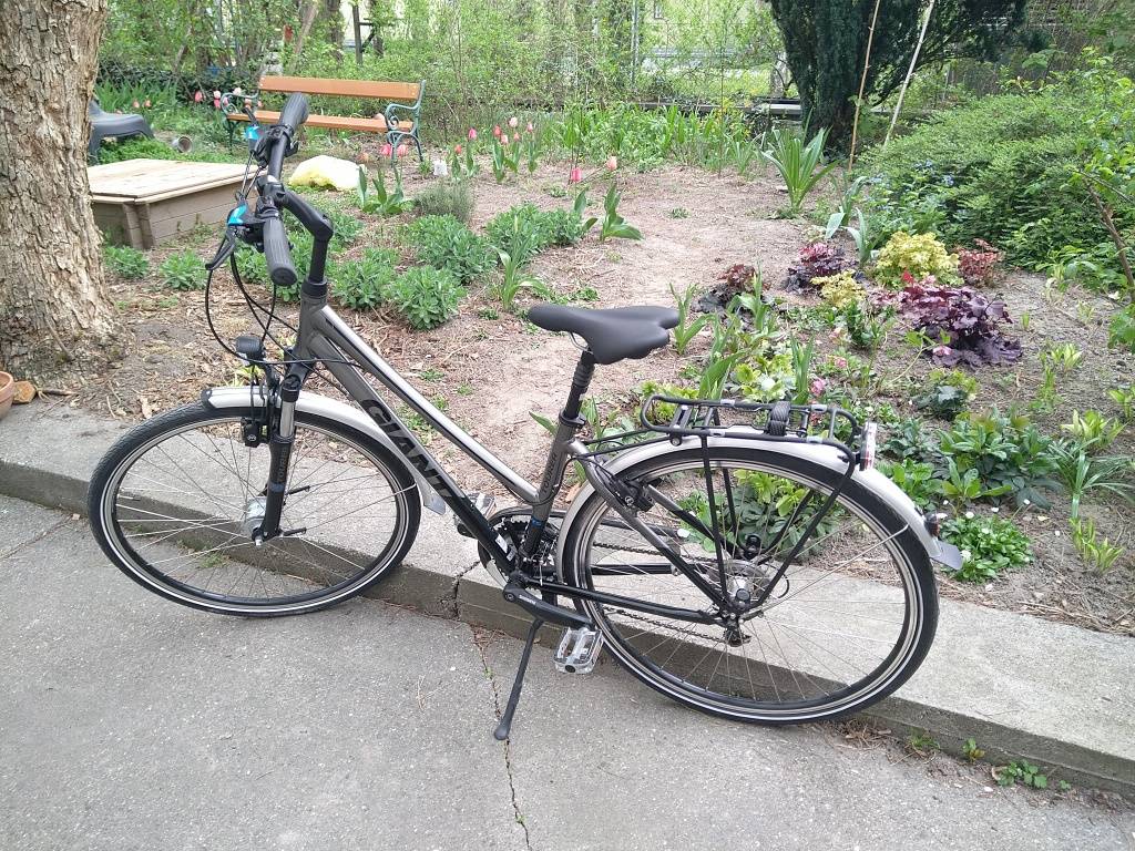 Damen Trekking-Fahrrad von Giant,  455,- (1210 Wien) - willhaben